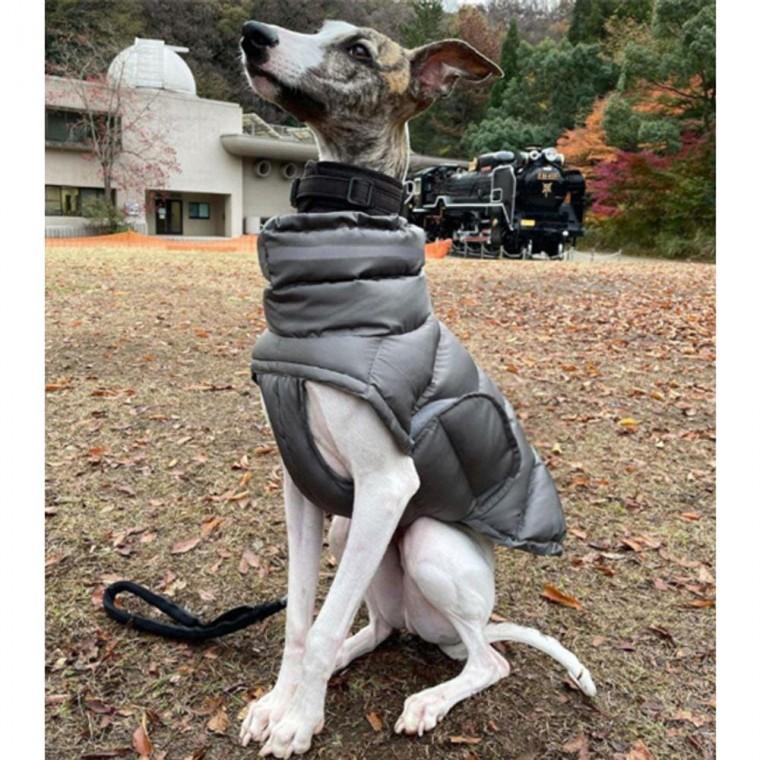 강아지 페이스 방수 겨울 패딩 M 1P 보온 산책 목폴라