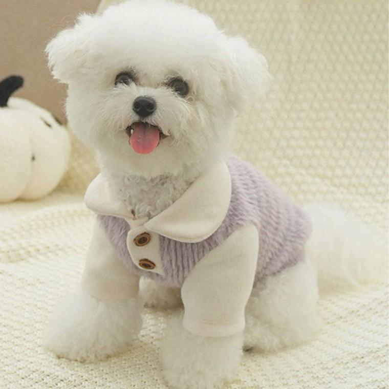 강아지 모아르 컬러 소프트 카라 반팔티 1P 겨울 보온