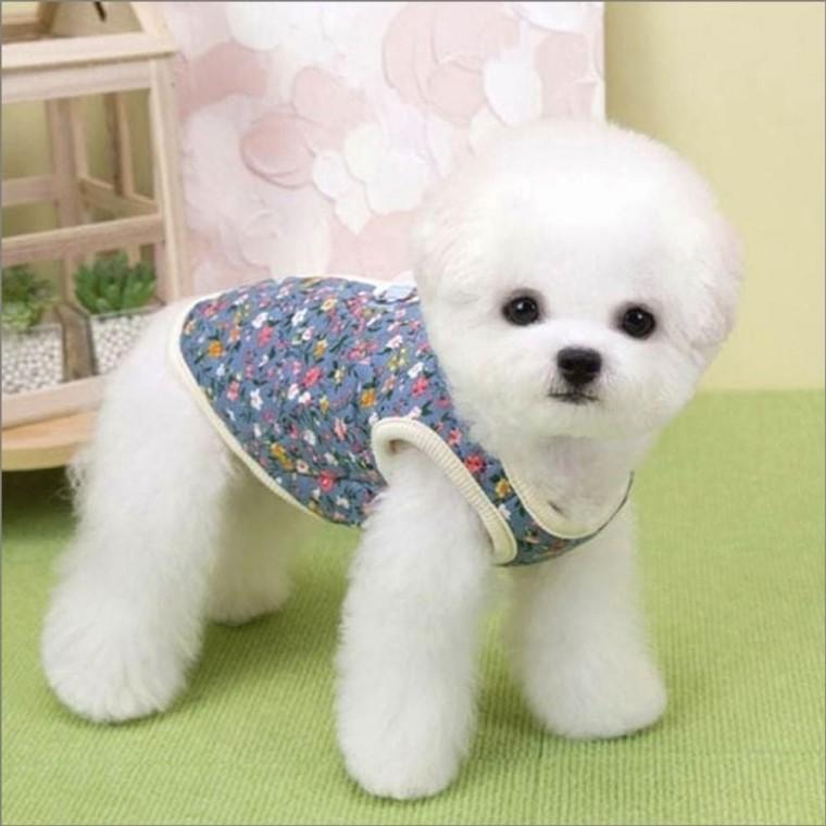 강아지 촌캉스 누빔조끼 반려견옷 김장조끼 2컬러 겨울