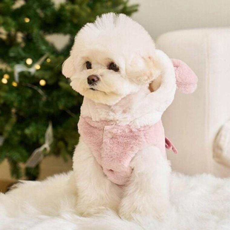 강아지 귀여운 털소재 후드 조끼 1P 겨울 보온 베스트