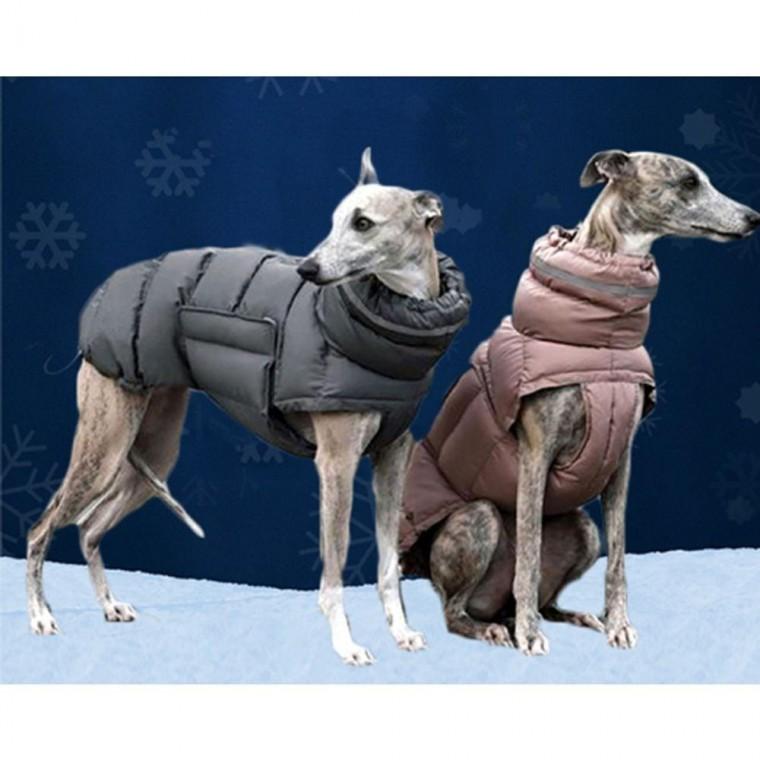 강아지 페이스 방수 겨울 패딩 S 1P 보온 산책 목폴라