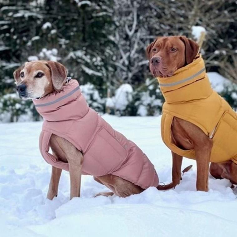 강아지 페이스 방수 겨울 패딩 XL 1P 보온 산책 폴라