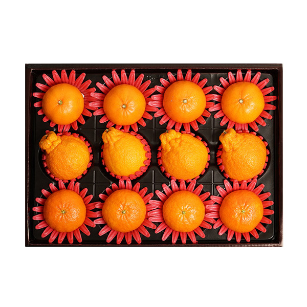 [자연의감동] 실속 혼합과일세트 8호(한라봉4개+천혜향4개+레드향4개)/3.6kg