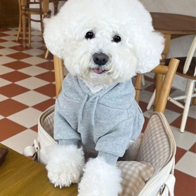 강아지 무지 라이트 기모 후드티 1P 댄디룩 패션 외출 티셔츠