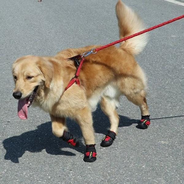 키밍 애견 외출 방수 신발 강아지 개 레인부츠 외출용