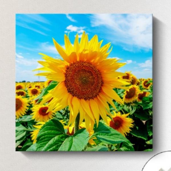 해바라기 그림 인테리어 액자