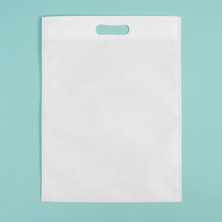 부직포 가방 컬러 답례품가방 화이트 40x50cm 10p
