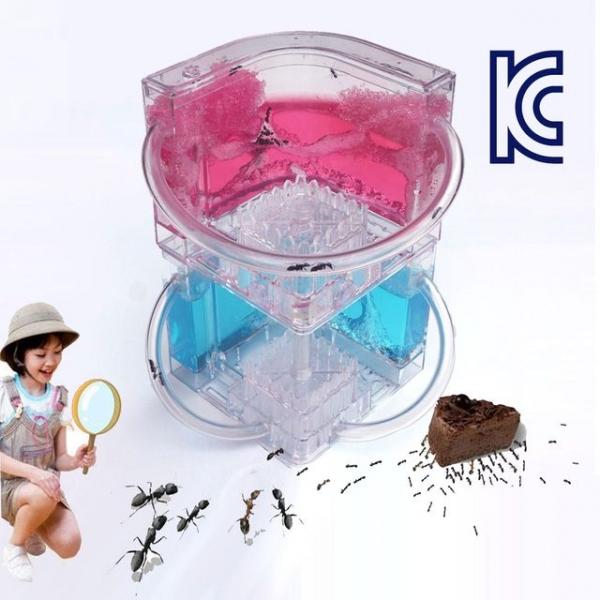 앤트캐슬 개미들의 성지 (KC인증)