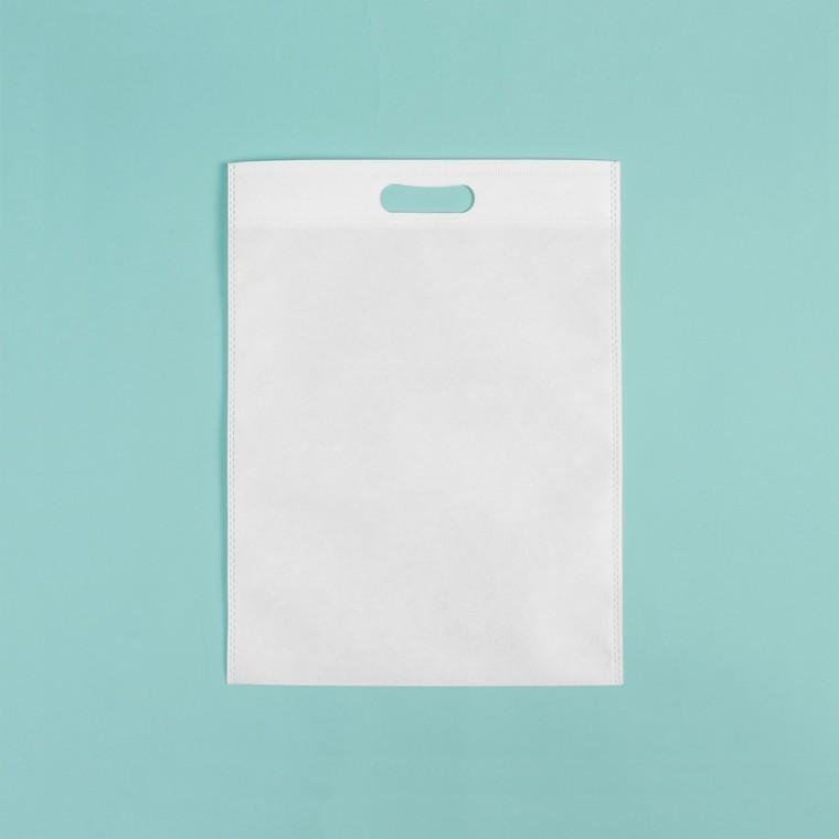 부직포 가방 컬러 기프트백 화이트 25x35cm 10p