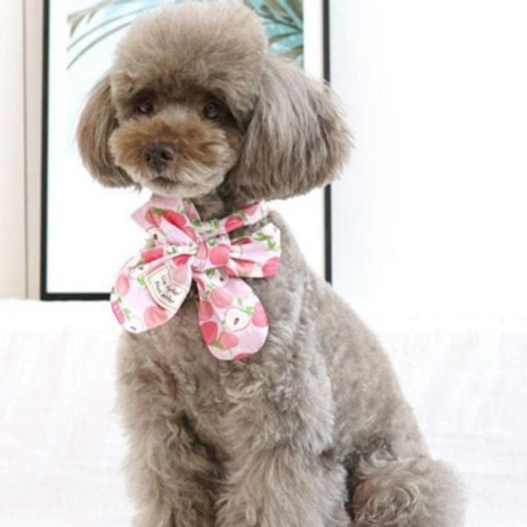 강아지 스카프 L 3색 애견 악세사리 목도리 머플러 스카프 케이프 악세사리 용품 목도리 고양이 개