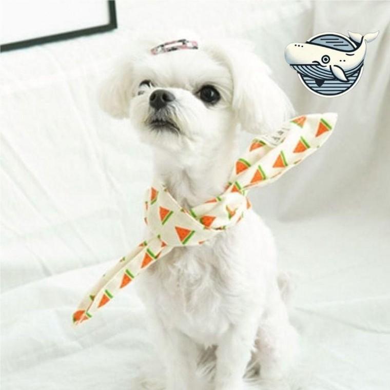 귀여운 반려견 패셔너블 스카프 다채로운 목도리 악세사리 개 용품 스카프 강아지 고양이 애견 목도리