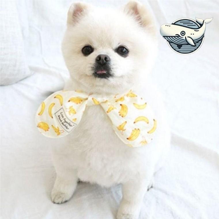 귀여운 강아지 목도리 스카프 애견 아이디어 고양이 목도리 스카프 강아지 용품 케이프 개 애견 악세사리
