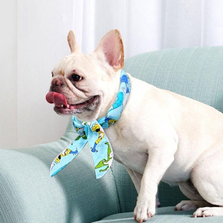 강아지 쿨 스카프 조끼 나시 아이스팩 고양이 더위 쿨스카프 애견 목도리 아이스스카프 링스카프 워머