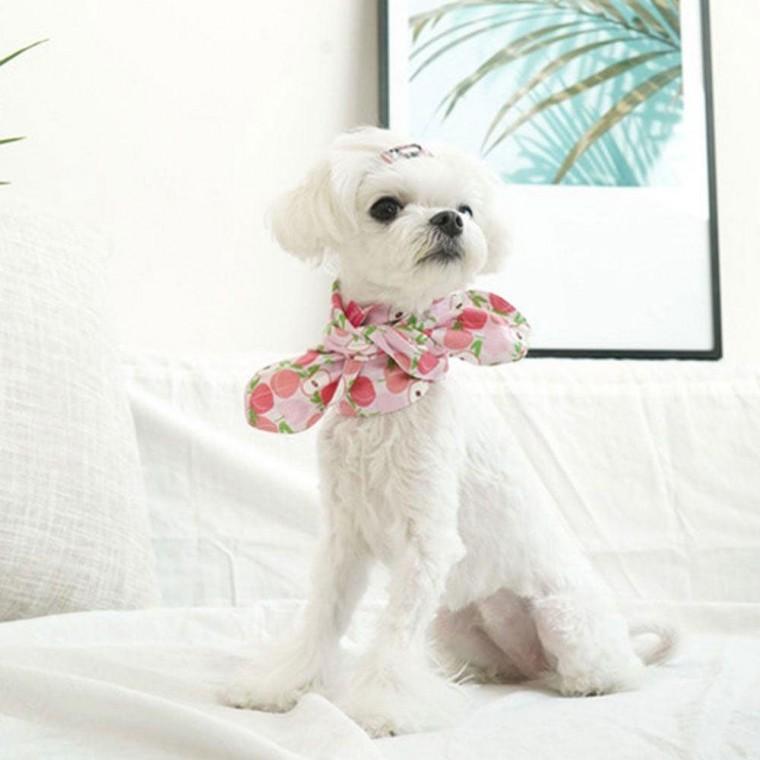 복숭아 트로피칼 강아지 애견 머플러 스카프 S X2개 펫스카프 고양이 케이프 목도리 강아지 머플러