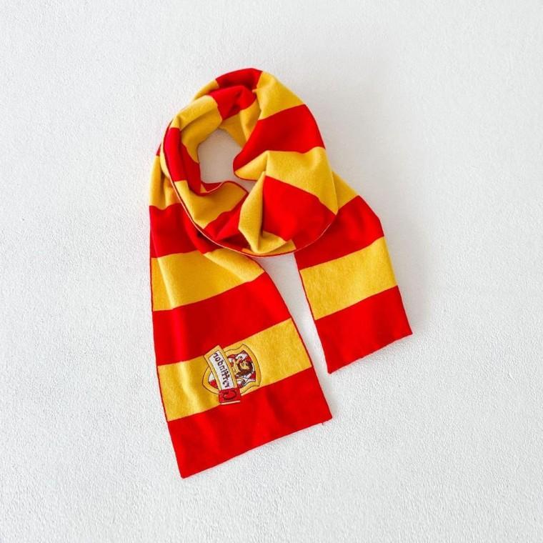 해*포터 키즈 목도리 마법학교 컨셉의상 반 졸업사진 키즈 특별한날의상