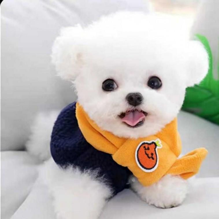 조끼 강아지패딩 겨울 뽀글이 강아지옷 애견 방한복 겨울옷 옷 따뜻한 후리스 강아지