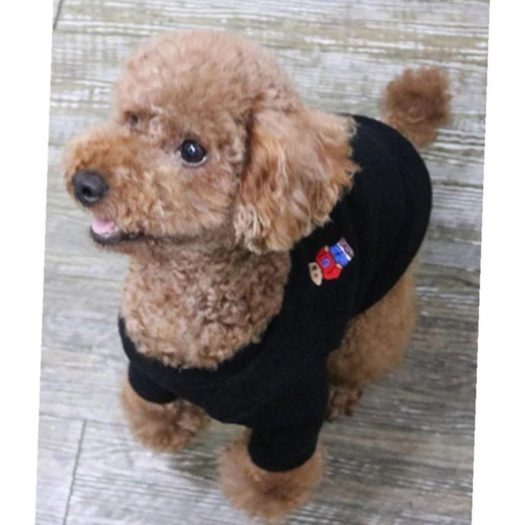 강아지 곰돌이 특가형 니트 반팔티 블랙 2XL 1P 겨울 보온