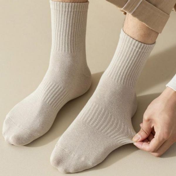 데일리 베이직 남성 사계절 컬러 중목 양말 5켤레 묶
