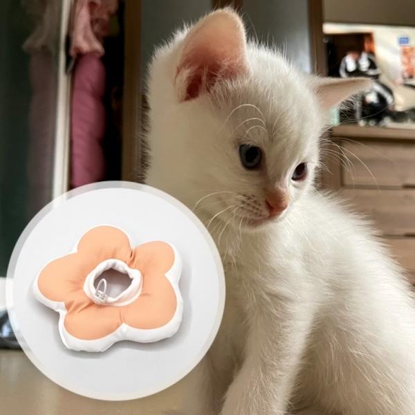 꽃피는 강아지 고양이 쿠션 넥카라 핑크 S