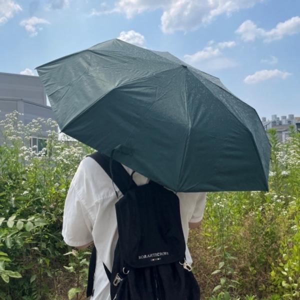 양산겸용 암막 자동 양우산 그린