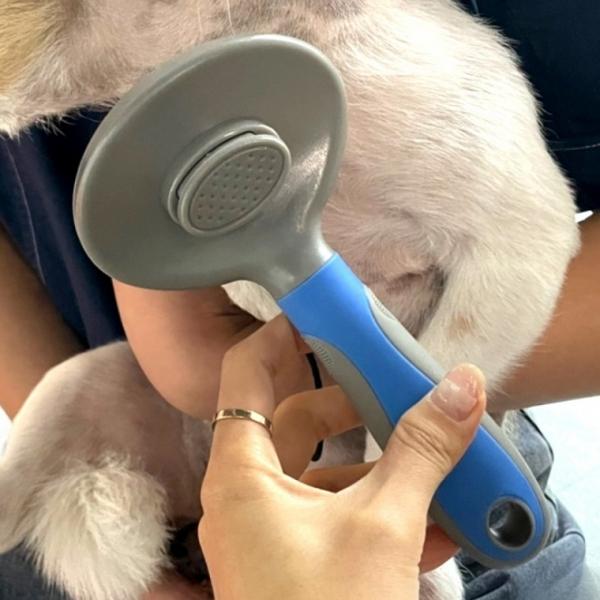 강아지 고양이 원터치 슬리커브러쉬 블루