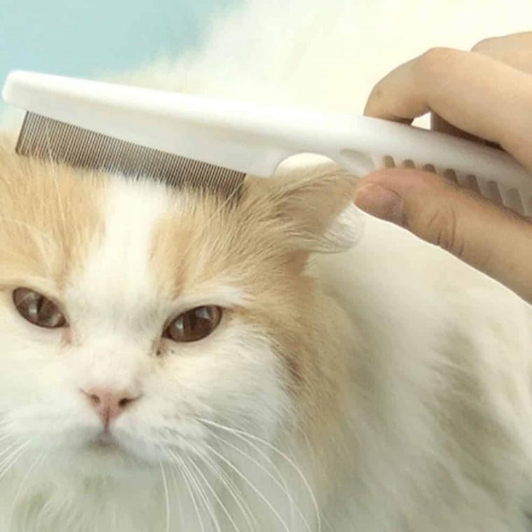 스텐 애견 빗 소 반려견빗 강아지털브러쉬 강아지털빗
