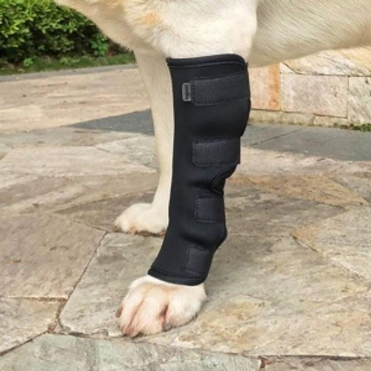 EAS 대형견 발목 보호대 강아지 다리 보호 수술 후용