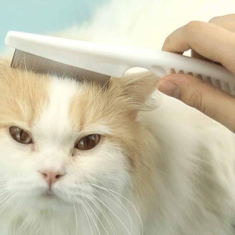 스텐 애견 빗 대 강아지빗질 반려동물브러쉬 말티푸빗