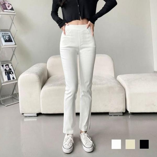 여성 부츠컷바지 밴딩팬츠 스판 롱팬츠 스키니 편한바지