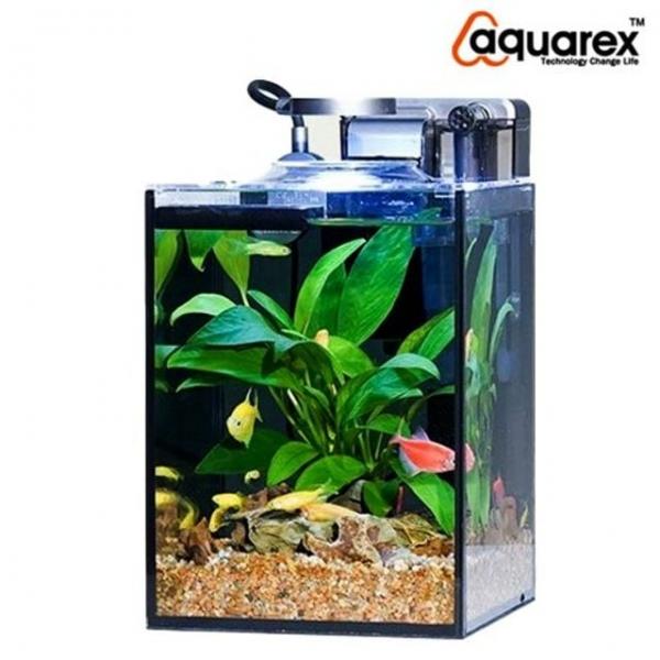 아쿠아렉스 수족관 수조 정사각형 일체형 어항 세트 블랙 실리콘