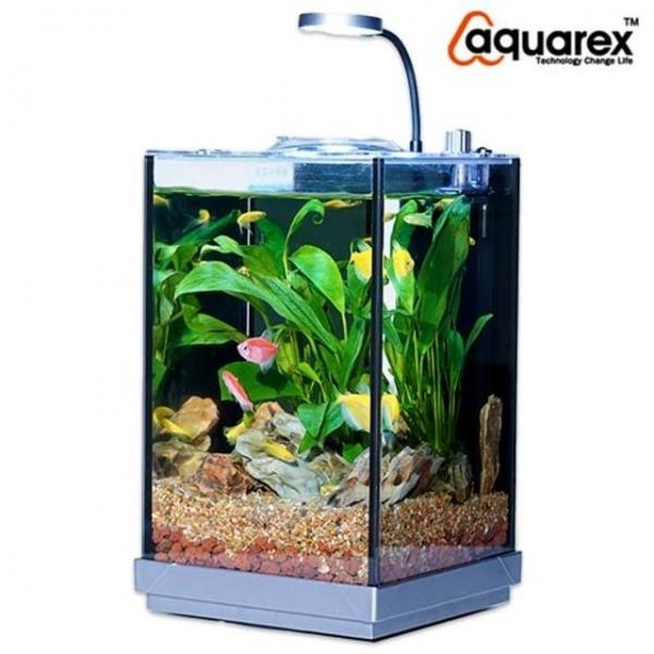 아쿠아렉스 수족관 수조 사각형 일체형 어항 세트 블랙 실리콘 여과