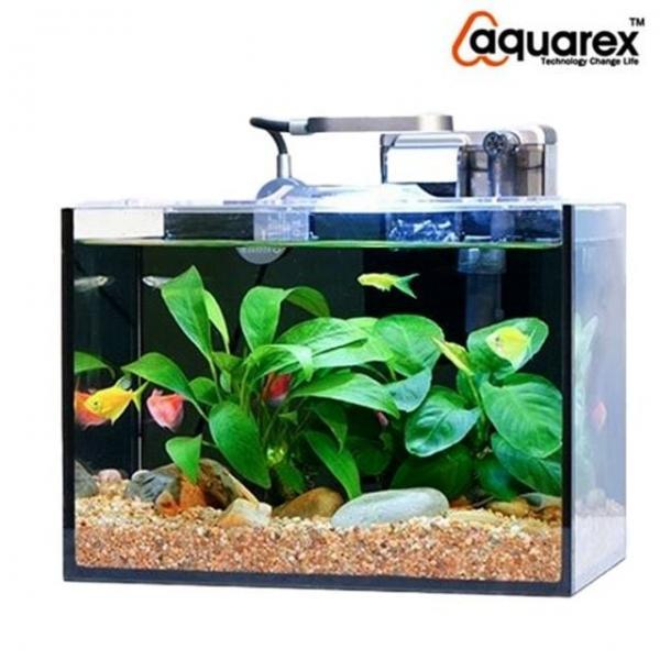 아쿠아렉스 수족관 수조 사각형 일체형 어항 세트 블랙 실리콘 물고기