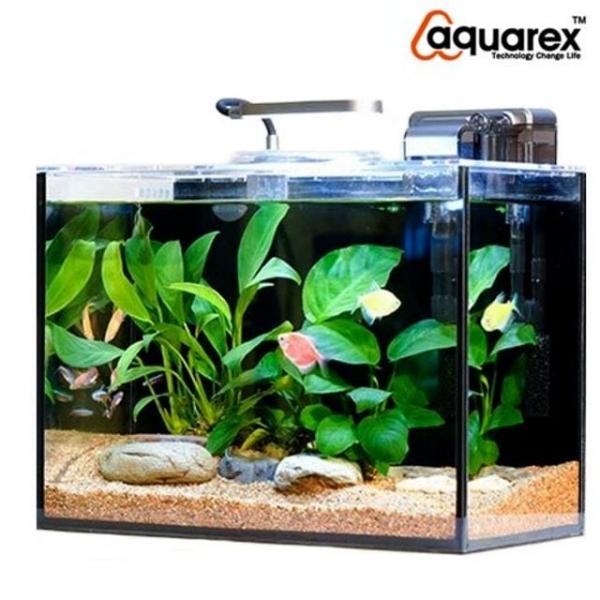 아쿠아렉스 수족관 수조 사각형 일체형 어항 세트 블랙 실리콘 어류
