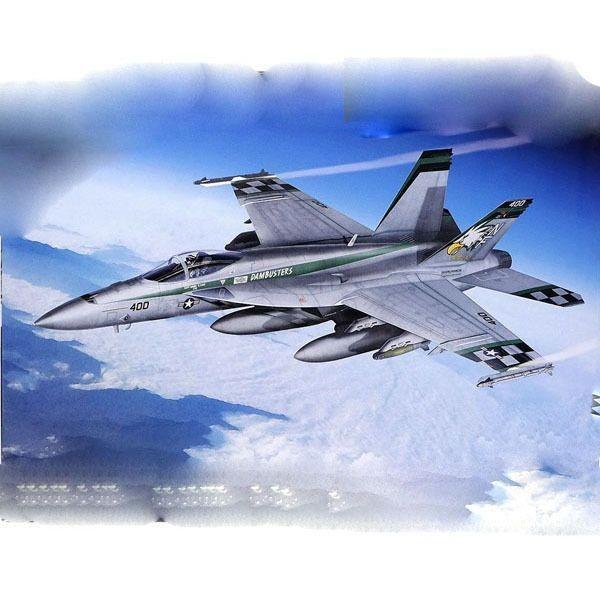 아카데미과학 미해군 F/A18E VFA195 치피호