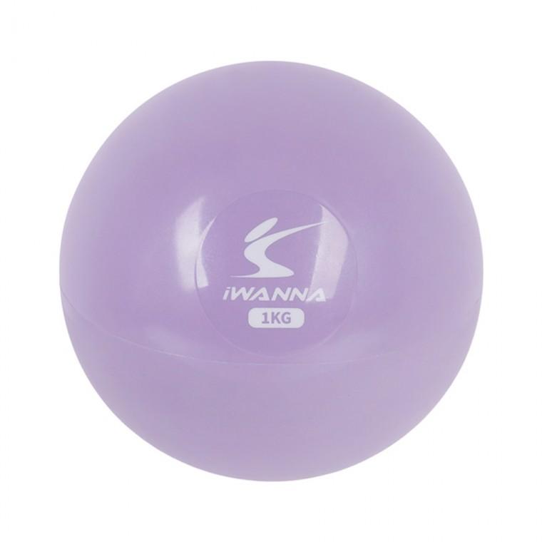 아이워너 웨이트볼 1kg 오키드퍼플