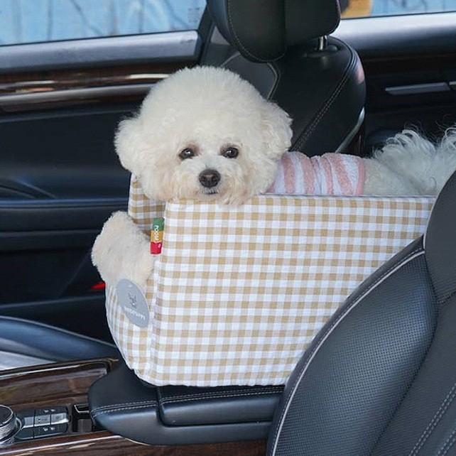 반려동물 차량용 카시트 강아지 고양이 자동차 이동장 안전가방 산책 피크닉 드라이브용
