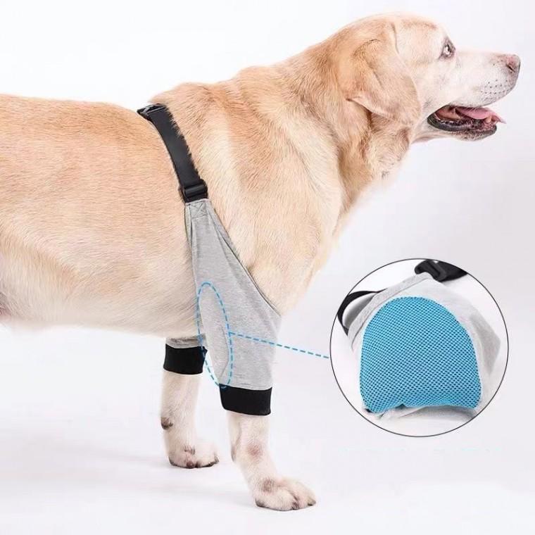 강아지 무릎보호대 그레이 XL