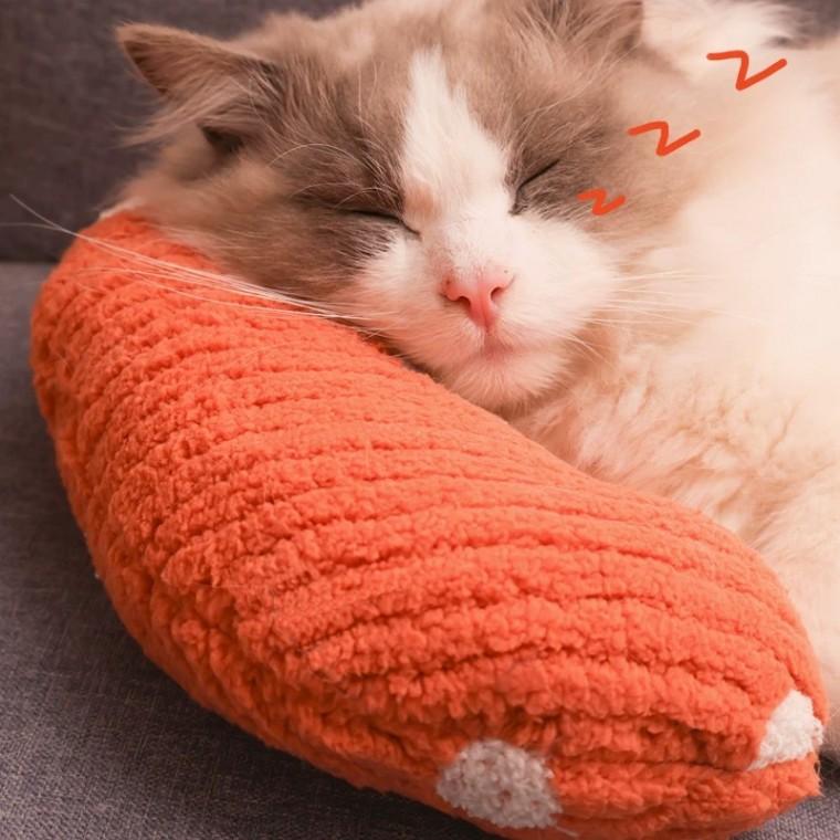 강아지 고양이 베개 목베개