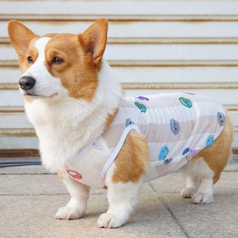 반려동물 여름 고양이 티셔츠 강아지 메쉬 나시 2XL