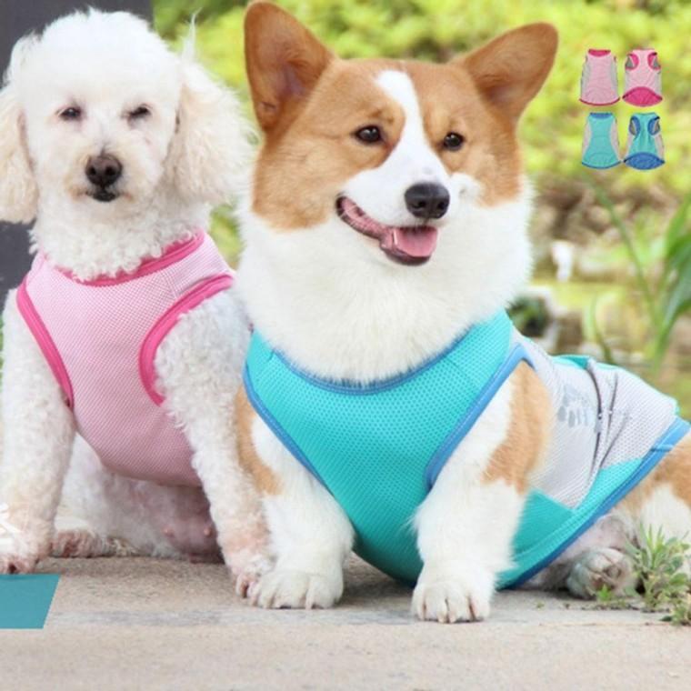 강아지 여름 쿨조끼 쿨티 반사 쿨링 베스트