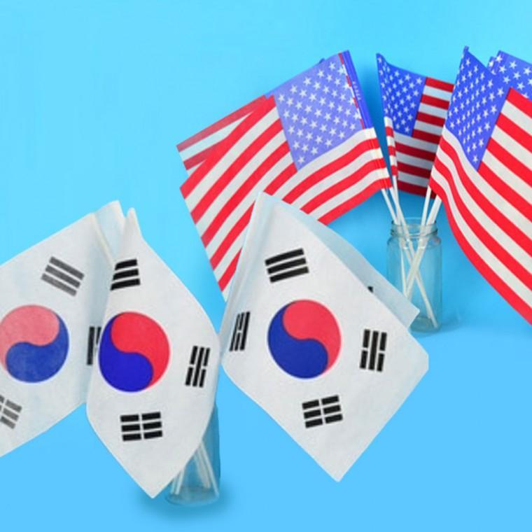 부직포 태극기&amp amp 성조기 10+10 set