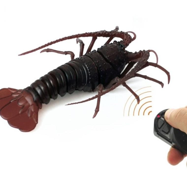 가재 RC 동물 모형 어린이 무선조종 장난감 놀이