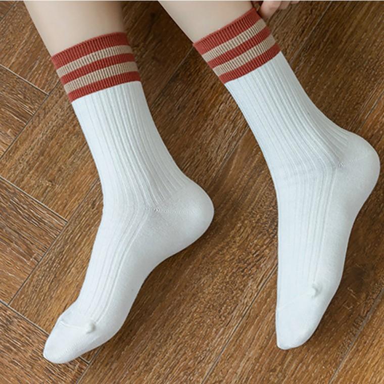여성 중목 양말 중학생 스트라이프 줄무늬 예쁜 발목긴 컬러 양말 10켤레