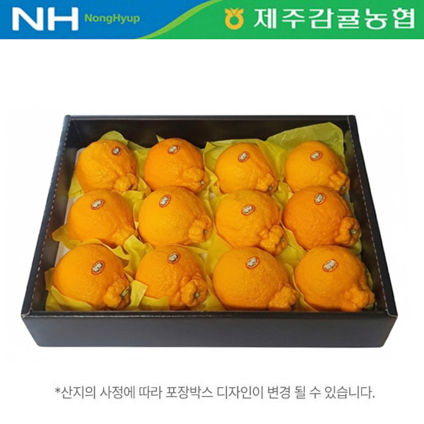 [제주감귤농협] 한라봉 [2.5kg-4kg]
