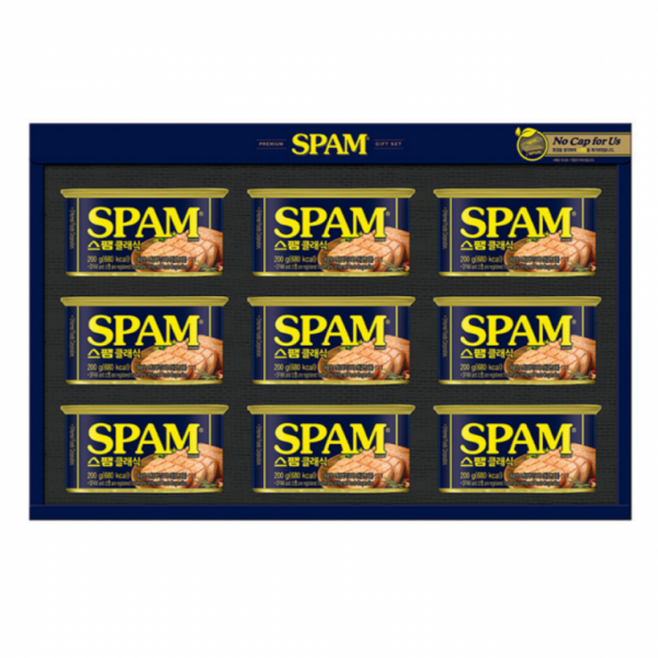 스팸클래식 200g 9개 단체 명절 구정 설날 선물세트
