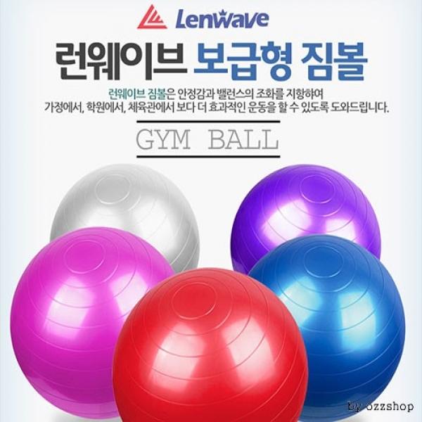 K40012A 런웨이브 보급짐볼 펌프포함 벌크