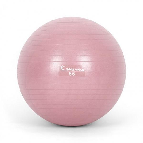 아이워너 안티버스트 파스텔 짐볼 55cm 와일드핑크