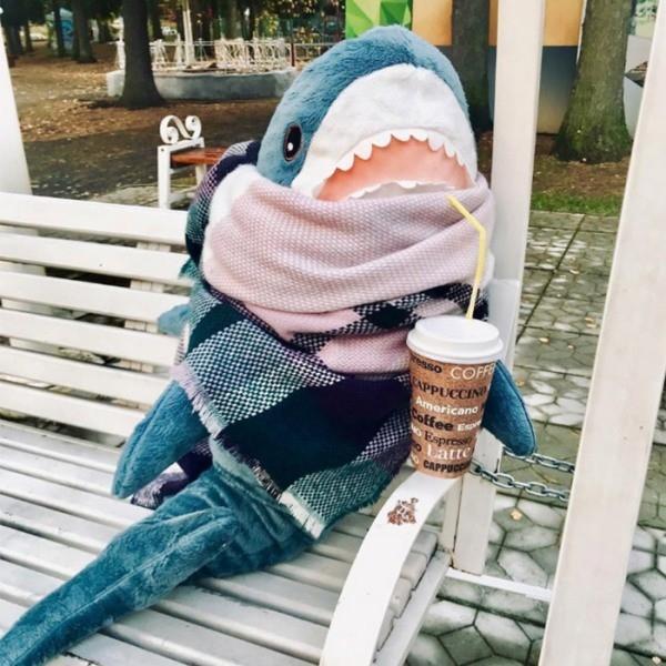 초대형 상어 인형 80cm 100cm 동물 수면 애착쿠션선물