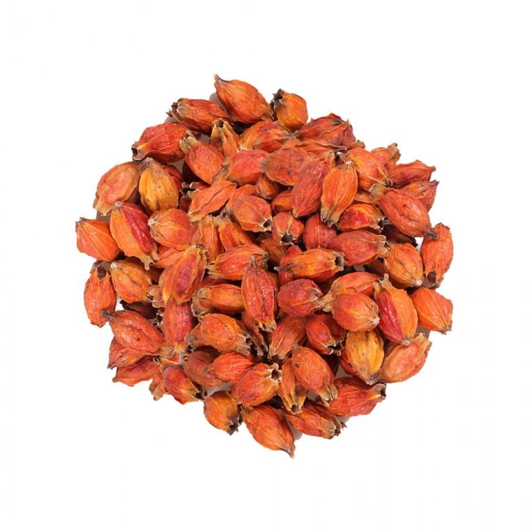 신선약초 국산 통 치자 300g