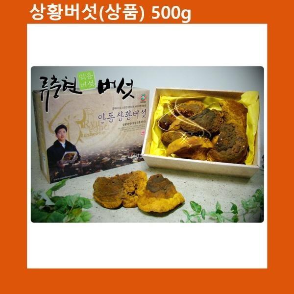 설선물 명절 국산 상황버섯 상품 500g 천상의 선물세트